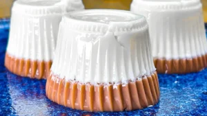 Budino Prestige Senza Forno